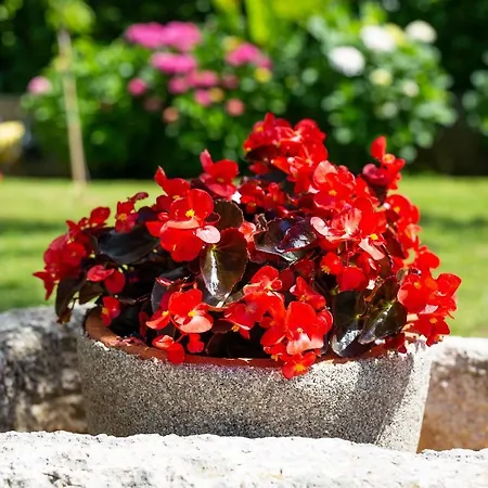 Jele 아파트 말린스카