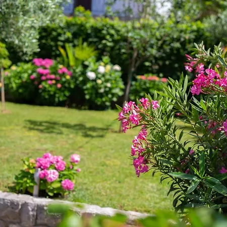Jele Apartman