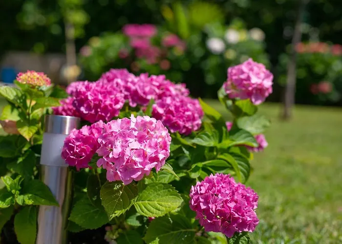 Apartman Jele Malinska